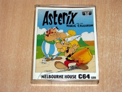 Asterix and the Magic Cauldron by Melbourne House