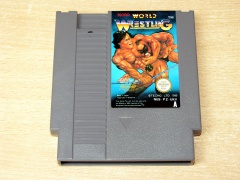 World Wrestling by Tecmo