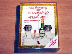 The Growing Pains Of Adrian Mole by Level 9