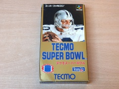Super Bowl by Tecmo