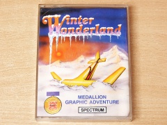 Winter Wonderland by Medallion / Incentive