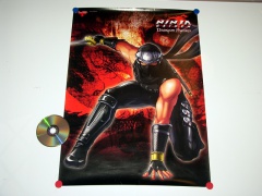 Official Poster - Ninja Gaiden : Dragon Sword