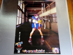 Sega Saturn Poster - Street Fighter Zero 2 