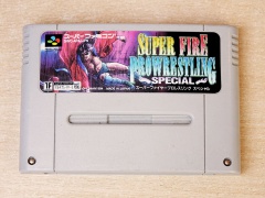Super Fire Pro Wrestling Special by Human
